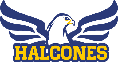 Halcones
